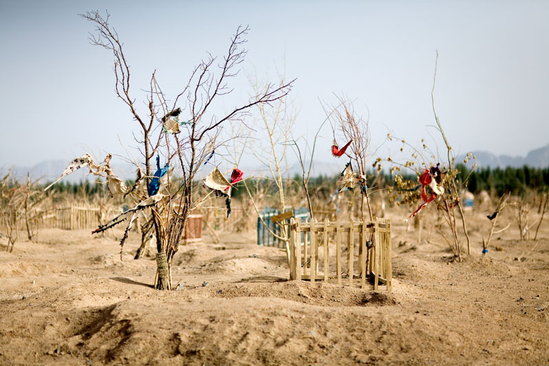 Black Garden (Baraka), 2009